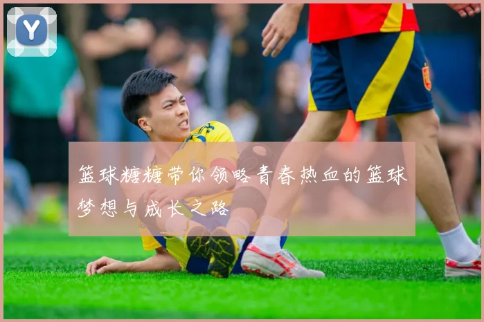 篮球糖糖带你领略青春热血的篮球梦想与成长之路