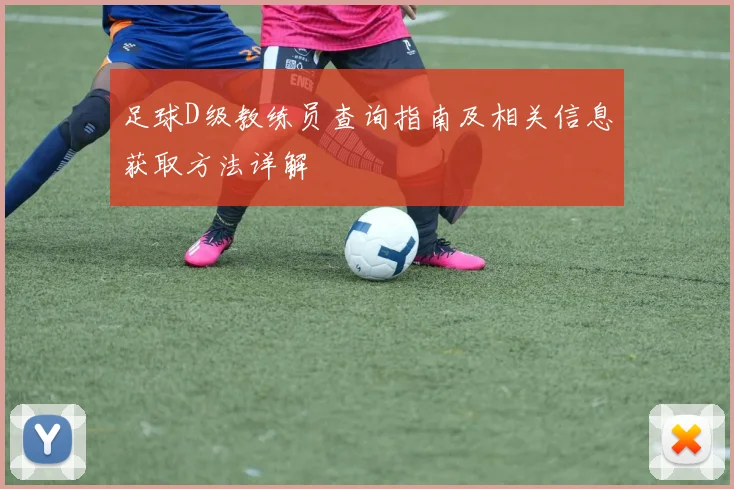 足球D级教练员查询指南及相关信息获取方法详解