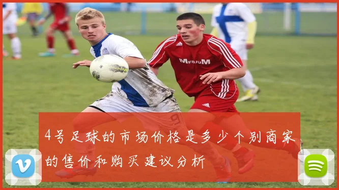 4号足球的市场价格是多少个别商家的售价和购买建议分析